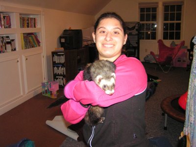 ./2005/Ferrets/thumbferrets